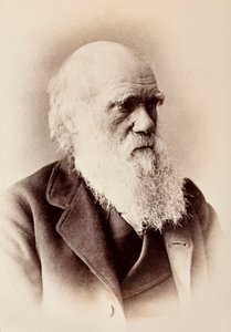 Charles Darwin: Englischer Naturforscher