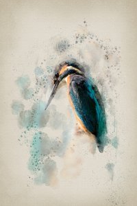Lebendiger Eisvogel Aquarell