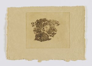 Baumstudie (aus Portfolio)