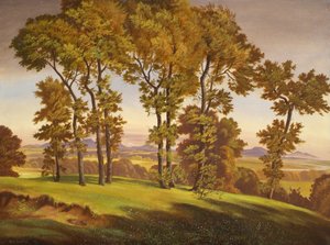 Landschaft mit Bäumen von Emil Ernst Heinsdorff