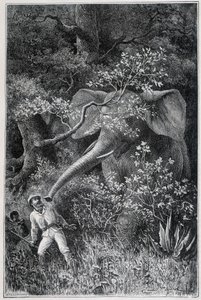 Livingstone überrascht von einem Elefanten, in „Le Tour du Monde“