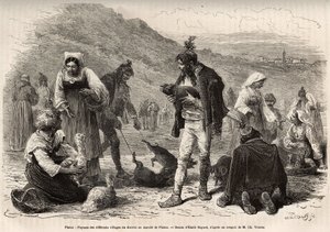 Die Bauern in der Umgebung von Pisino (Kroatien) versammeln sich zum Verkauf ihrer landwirtschaftlichen Produkte auf dem Markt: Geflügel, Ferkel..., Gravur nach einer Zeichnung von Emile Bayard zur Illustration der Reise nach Istrien und Dalmatien, 1874, v