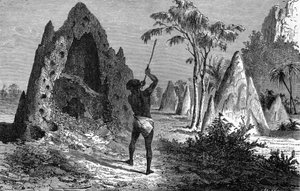 Dorf der kriegerischen Termiten (Termitiere), Afrika. Gravur 1897 von Emile Antoine Bayard