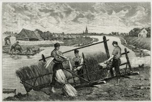 Der Rost des Flachses (Mazeration zur Erleichterung der Trennung der Rinde vom Stängel) in der Lys (Fluss im Norden Frankreichs und Belgiens). Gravur von Emile Claus, zur Illustration der Geschichte „La Belgique“, von Camille Lemonnier (1844-1913), Schrift