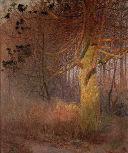 Baum in der Sonne von Emile Claus