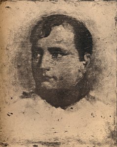 Napoleon, 19. Jahrhundert