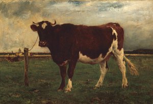 Studie einer Kuh von Emile van Marcke de Lummen