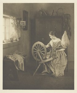 Spinnen