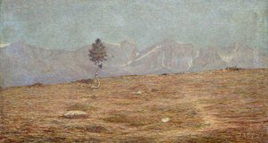 Die Pflanze von Emilio Longoni