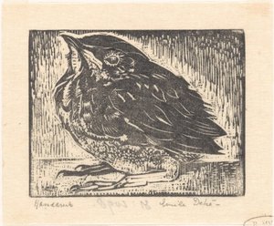 Vogeljunges