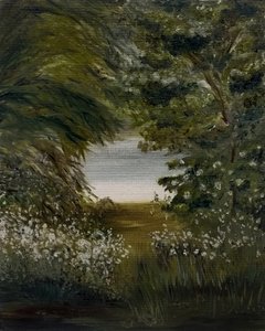 Serener Pfad zum See