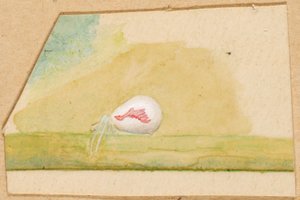 Porzellanweiße Spinne von Emma Beach Thayer