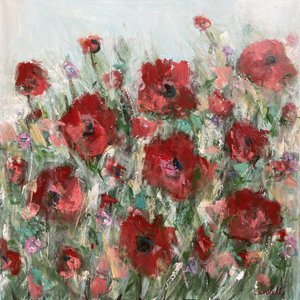 Rotes Mohnfeld