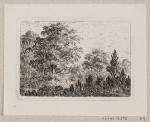 Waldlandschaft von Emma Meyer