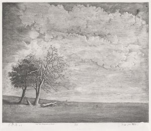 Eine Heide