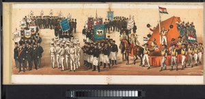Parade in Haarlem, 1872 (Platte 12)