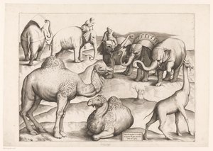 Acht Tiere von Enea Vico (attributed to)