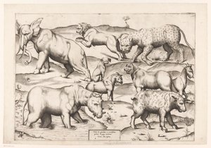 Neun Tiere