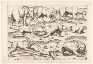 Neun wilde Tiere