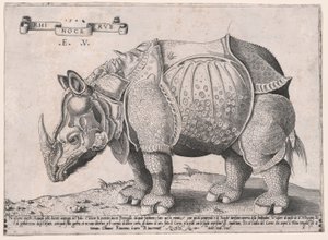 Nashorn von Enea Vico