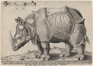 Nashorn von Enea Vico after Albrecht Dürer