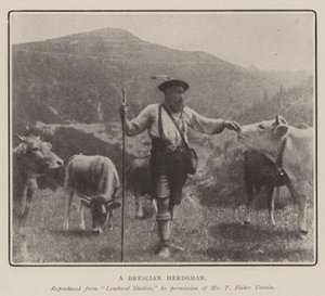 Ein Brescia-Hirte von English Photographer