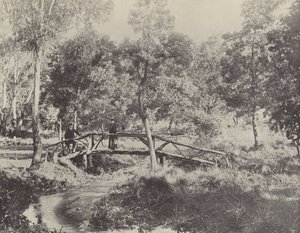 Eine rustikale Brücke, Ballarat Wasserreservat von English Photographer