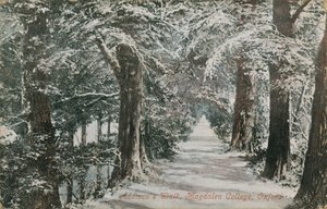 Addisons Walk, Magdalen College, Oxford