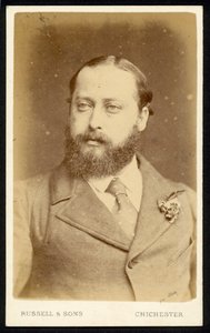 Albert Edward, Prinz von Wales von English Photographer