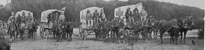 Ambulanzwagen verlassen das Pestkrankenhaus in Kapstadt, Illustration aus The King, 25. Mai 1901