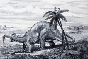 Brontosaurus von English Photographer