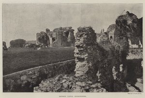 Denbigh Burg, Denbighshire