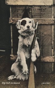 Hund mit einer Waffe von English Photographer