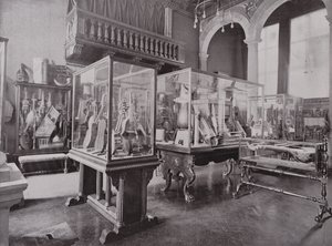 Donaldson Museum, Royal College of Music von English Photographer