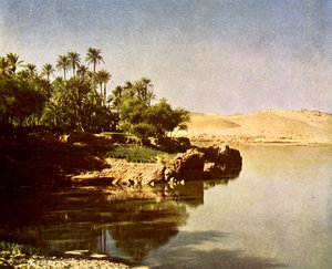 Elephantine
