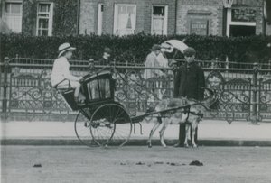 Ziegengezogener Transport von English Photographer