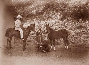 Pferde in Simla, Queen Mab und Gladys