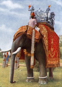 Uraltes Indien: Seine Farben & Magie von English Photographer