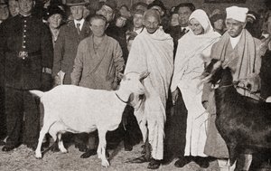 Mahatma Gandhi kommt 1931 mit seiner Schülerin Madeleine Slade und seinen zwei Ziegen in London, England an, aus Die Geschichte von fünfundzwanzig Jahren, veröffentlicht 1935