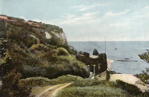 Mönchs Bucht, Bonchurch von English Photographer