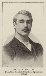 Herr A N Whitley von English Photographer