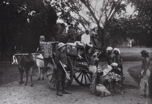 Herr G P Owen und ein Singapur-Tiger von English Photographer