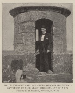 Mr. W. Freeman Halstead (Zeitungskorrespondent) zu neun Jahren Haft als Spion verurteilt