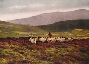 Auf den Mourne Mountains, County Down von English Photographer