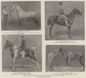 Einige Preisträger auf der Royal Dublin Horse Show von English Photographer