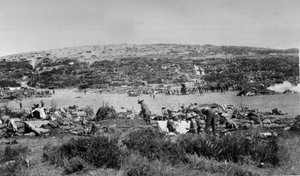 Suvla Bay, Gallipoli am Chocolate Hill, ca. 1915