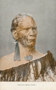 Tangata Maori Häuptling von English Photographer