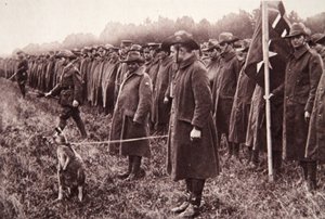 Die Anzac-Überprüfung auf der Salisbury-Ebene: ein australisches Maskottchen, Illustration aus The Illustrated War News, 27. September 1916