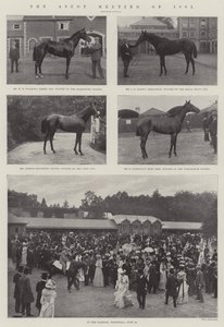 Das Ascot-Treffen von 1901