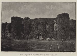 Der Bankettsaal, Beaumaris Castle, Anglesey von English Photographer